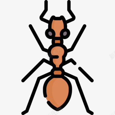 蚂蚁昆虫44线状颜色图标