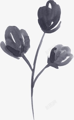 彩黑白波西米亚牡丹花卉剪贴画婚礼请柬设计PS13彩素材