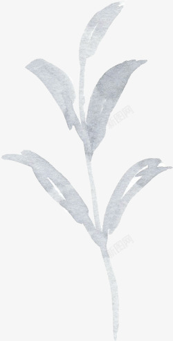 彩黑白波西米亚牡丹花卉剪贴画婚礼请柬设计PS24彩素材