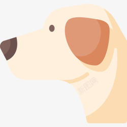 15种拉布拉多猎犬犬种15扁平高清图片
