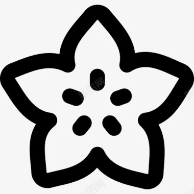星星果水果33轮廓图标