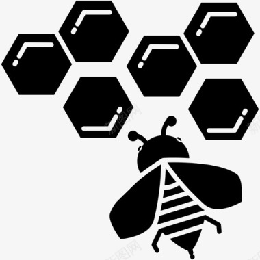 蜜蜂苍蝇蜂巢图标