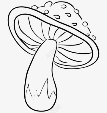 蘑菇真菌香菇图标