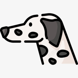 马提亚达尔马提亚犬犬种13种线形颜色高清图片