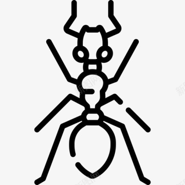 蚂蚁昆虫43线状图标