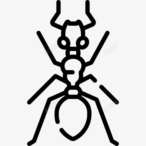 蚂蚁昆虫43线状svg_新图网 https://ixintu.com 蚂蚁 昆虫 线状
