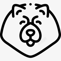 8种波美拉尼亚犬种8直系高清图片