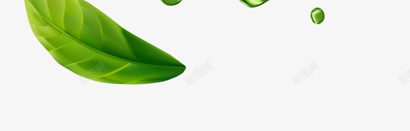 叶子树透明抠图免扣绿色植物叶子草画png_新图网 https://ixintu.com 免扣 叶子 抠图 绿色植物 透明