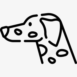 马提亚达尔马提亚犬犬种14种直系高清图片