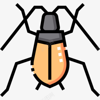 甲虫昆虫46线形颜色图标