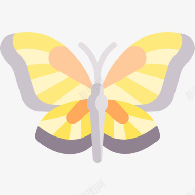 蝴蝶昆虫42扁平图标