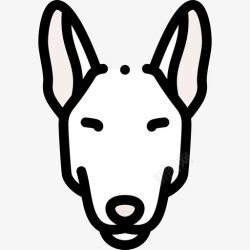 9种体质灰狗犬种9线性颜色高清图片