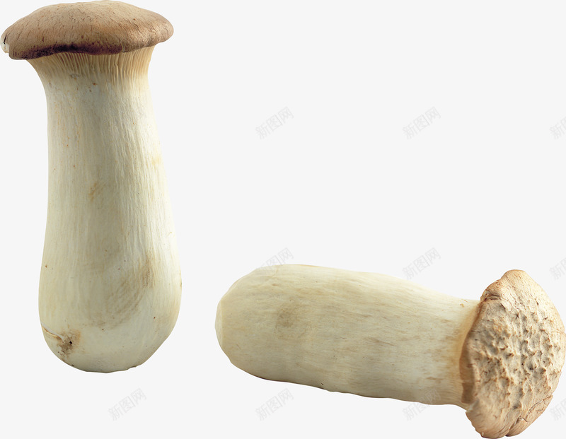 蘑菇食物合成图蘑菇蘑菇合成png免抠素材_新图网 https://ixintu.com 蘑菇 合成 食物