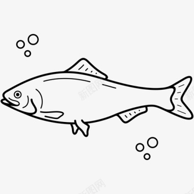 美国鲱鱼鱼康涅狄格州标志图标