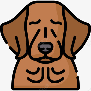 金毛猎犬狗21线性颜色图标