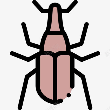 象鼻虫昆虫48线状颜色图标