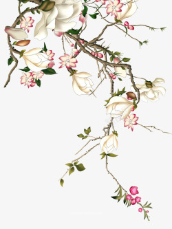 手绘古典春季玉兰花涂设计素材