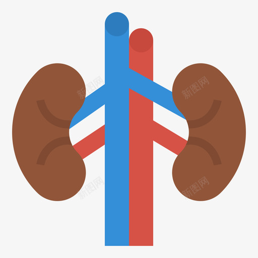 肾脏医用304扁平svg_新图网 https://ixintu.com 肾脏 医用 扁平