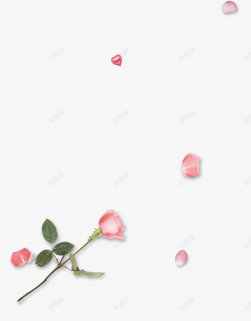 粉红玫瑰装饰壁纸装饰壁纸png免抠素材_新图网 https://ixintu.com 装饰 壁纸 粉红 红玫瑰