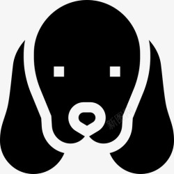 16种可卡犬犬种16填充型高清图片