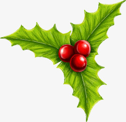 红色圣诞节飘带节日装饰红色浆果绿色树叶手绘圣诞节装饰壁纸装饰壁纸高清图片