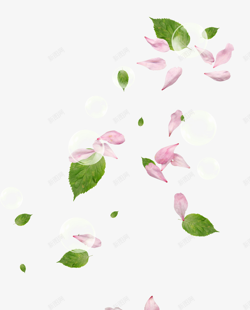 花瓣装饰壁纸装饰壁纸png免抠素材_新图网 https://ixintu.com 壁纸 装饰 花瓣