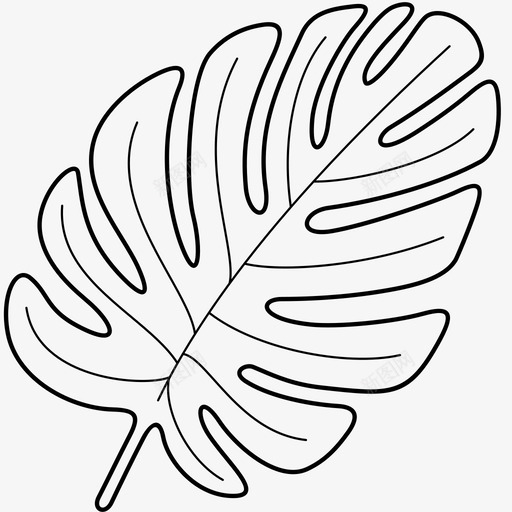 热带棕榈叶装饰性乔木svg_新图网 https://ixintu.com 热带 棕榈 装饰性 乔木