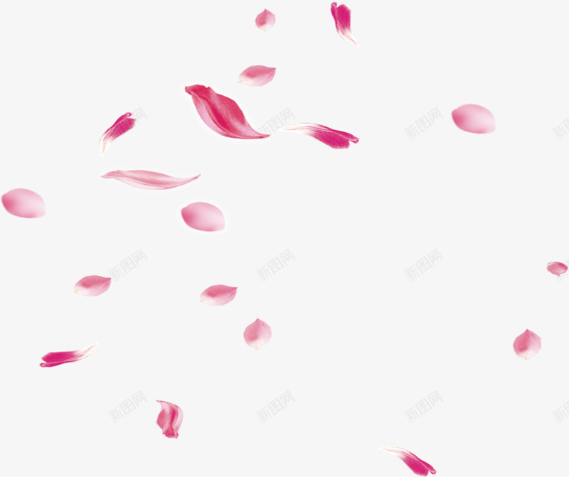 粉色漂浮玫瑰花瓣png免抠素材_新图网 https://ixintu.com 玫瑰花瓣 红色玫瑰 漂浮 花瓣
