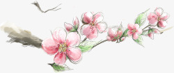速写线条淡彩粉色桃花动植物壁纸动植物壁纸素材