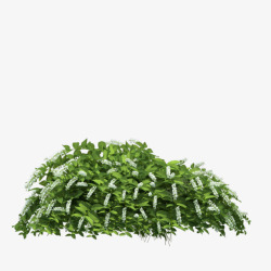 大树灌木吧百度贴吧end素材