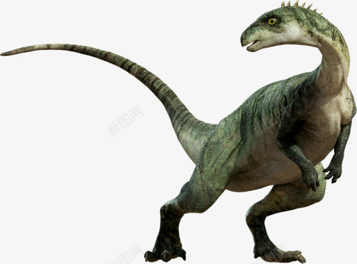 电影级恐龙透明Dinosaurs电影级恐龙透明来源图标