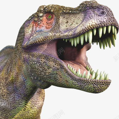 电影级恐龙透明Dinosaurs电影级恐龙透明来源图标