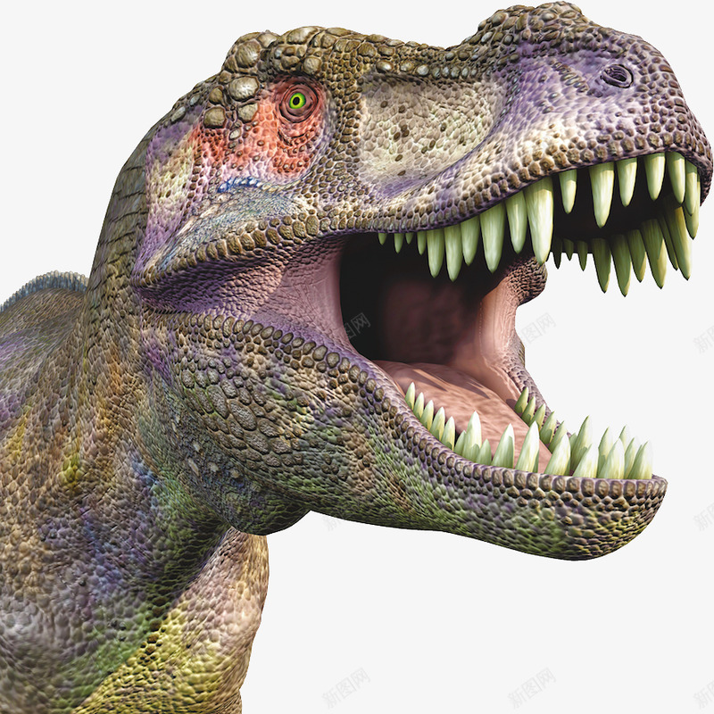 电影级恐龙透明Dinosaurs电影级恐龙透明来源png_新图网 https://ixintu.com 电影 恐龙 透明 Dinosaurs 来源