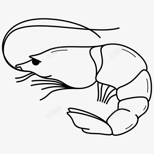 虾甲壳类动物长胡须svg_新图网 https://ixintu.com 甲壳类 动物 胡须 肌肉 发达 尾巴