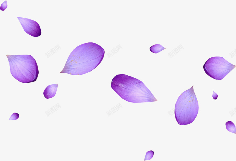 紫色花瓣装饰壁纸装饰壁纸png免抠素材_新图网 https://ixintu.com 装饰 壁纸 紫色 花瓣
