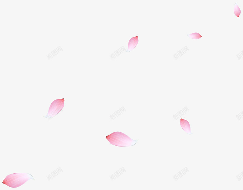 漂浮花瓣装饰壁纸装饰壁纸png免抠素材_新图网 https://ixintu.com 装饰 壁纸 漂浮 花瓣