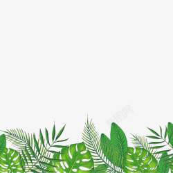 冰爽夏日灬小狮子灬3植物鲜花透明图案鲜花植物叶子竹素材