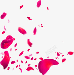 红色花瓣漂浮装饰壁纸装饰壁纸素材