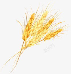 小麦粮仓丰收果实立秋粮食稻谷小麦粮仓模板下载6367MB食高清图片