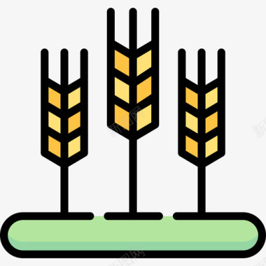 小麦自然161线形颜色图标