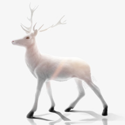 水彩手绘梦幻麋鹿小鹿免扣透明132水彩手绘梦幻麋鹿素材
