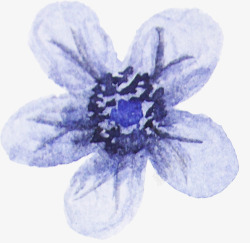 紫色花植物素材