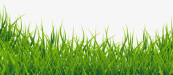 信赖图图设计绿色小草草丛大自然生态春意盎然纯天然值得信赖高清图片
