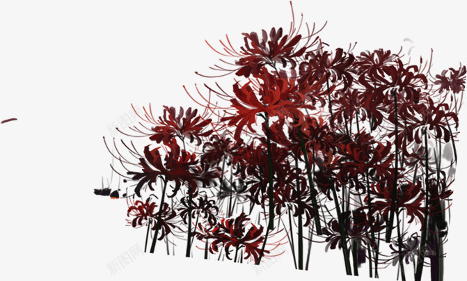 flower39c6ebe6671404bannepng_新图网 https://ixintu.com flower39c6ebe6671404banne