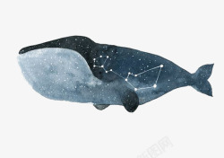 水彩手绘童话海洋鲸鱼卡通装饰PS透明高清102水彩素材