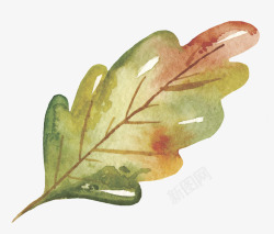 秋季卡通水彩动物松鼠刺猬印刷可爱装饰图案透明设计6素材