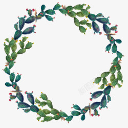 水彩仙人掌插画植物花环免扣wreaths03涂设计素材