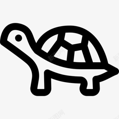 海龟野生动物54直系图标