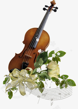 装饰国外精美花纹边框免扣海报装饰小提琴大提琴乐器生素材