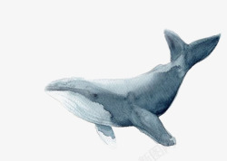 水彩手绘童话海洋鲸鱼卡通装饰PS透明高清56水彩手素材